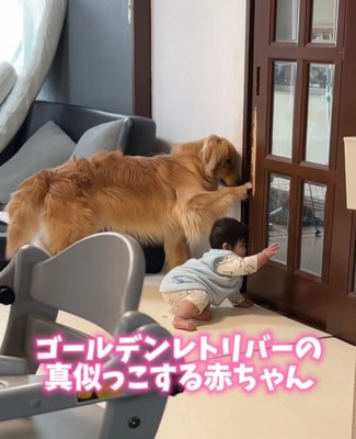 真似っこする男の子