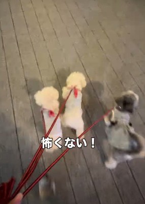 サポートを欠かさない