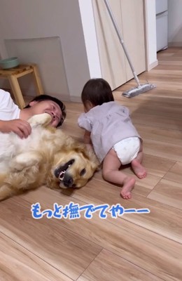 バッハくんを撫でるパパ