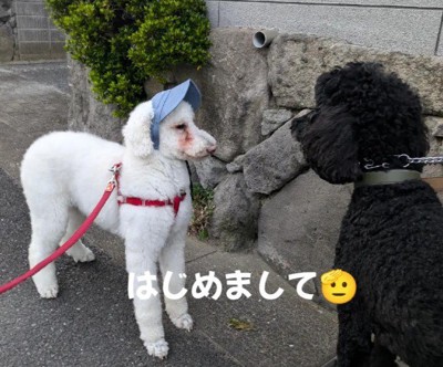 友達との交流も