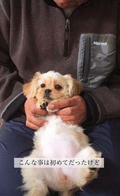 こんなことは初めて