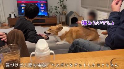 猫みたいなモナちゃん