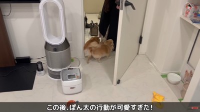 2匹揃って歓迎！