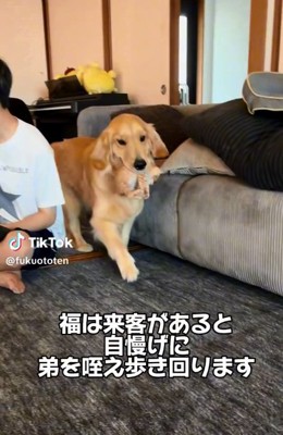 優しく咥える福ちゃん