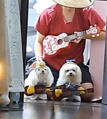 タケコプターを整えて…