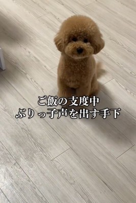 ぶりっこでも可愛いききちゃん♡