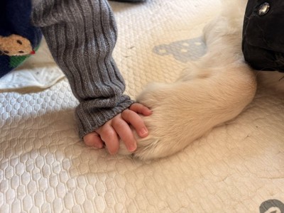 手