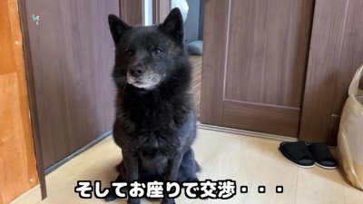 「僕が適任だと思うんだ」