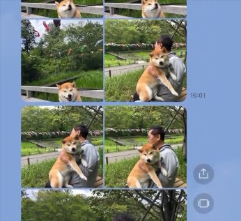 お出かけ