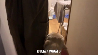 赤ちゃんが沐浴へ