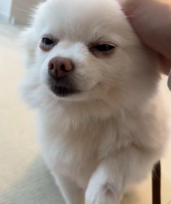 なにはともあれ成功♡