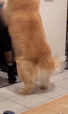 おかえり！！