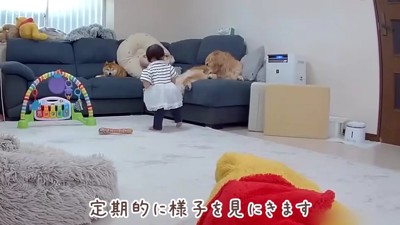 何度もおからちゃんの様子を確認