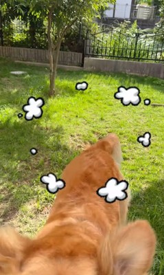 ララちゃんの熱烈歓迎9