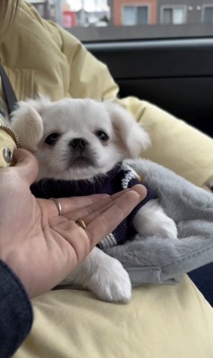 今日から家族だよ！