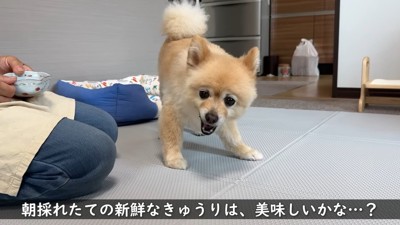 「美味しい~♡」