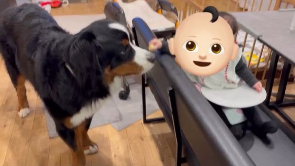 バナナをあげる赤ちゃん