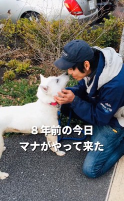 安倍さんとマナちゃんのキス