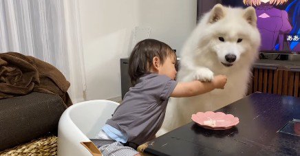 「バカにしないで!!」