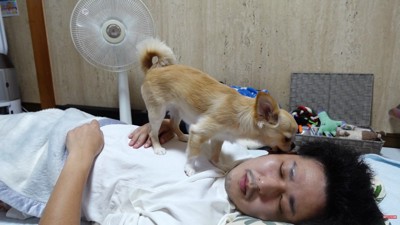 「起きて～！」とお顔をペロペロ