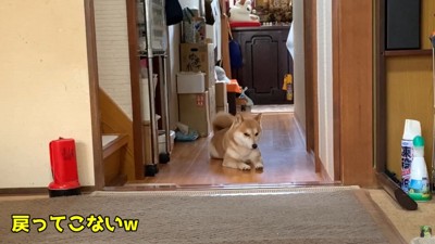 ちょっぴり拗ねている？