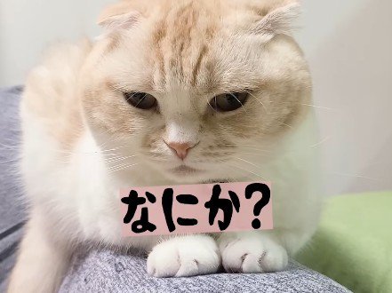 「なんてことしてくれた…」