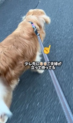 ピノくんとご夫婦の再会