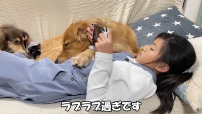 微笑ましい光景にキュン