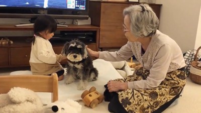 子どもと犬とお年寄