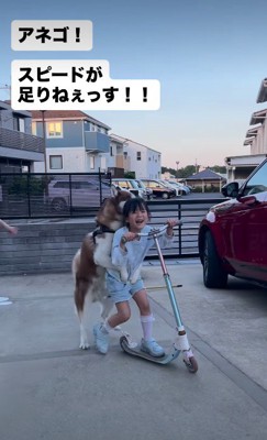 とっても楽しそう♪