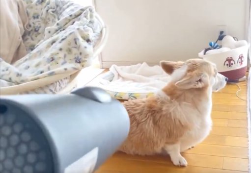 まさかの謎ルール