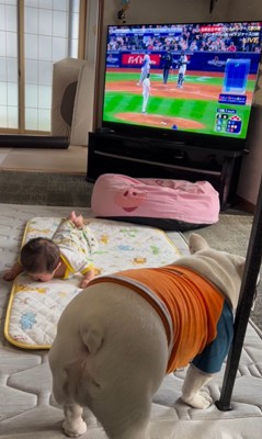 こぶし君と赤ちゃん2