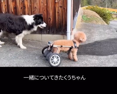 さくまるくんを見守る