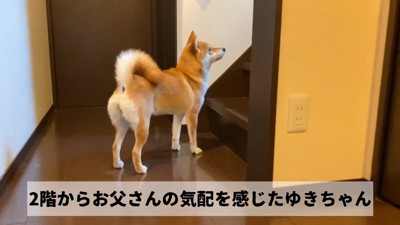 「そろそろ来るかな?」