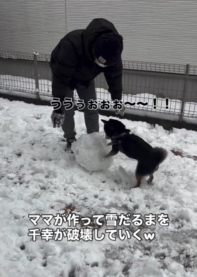 雪だるまを壊していく千幸ちゃん