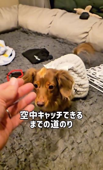 「おやつ食べたい!」