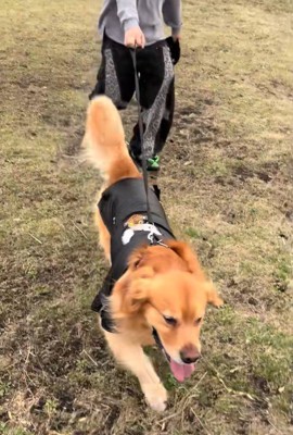 ルンルンで歩いています♪