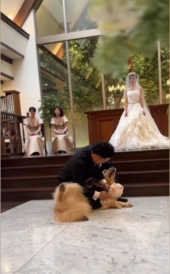 リングドッグに挑戦するジャックくん7