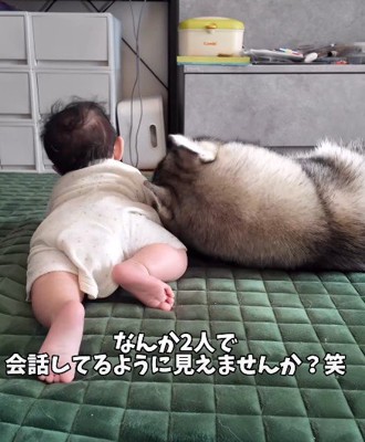 兄弟が会話しているような光景！？