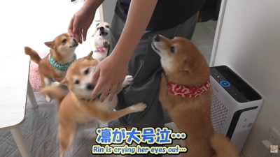 飛びついて熱烈大歓迎!