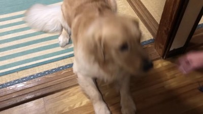 ふせも完璧な仕上がり