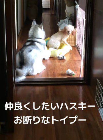 めげないくーさんでした♪