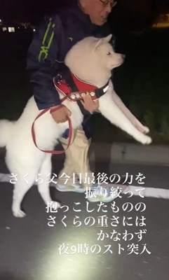 さくらちゃんの帰宅拒否4