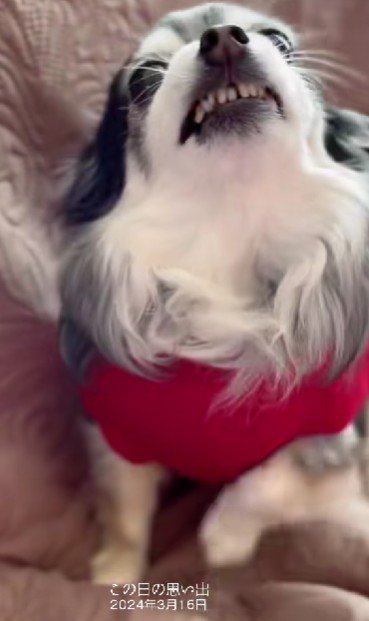 「明日の方がいいかな！」