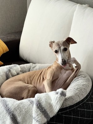 「リアル」な姿です