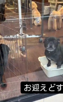 「待ってたよ！ママ！！」