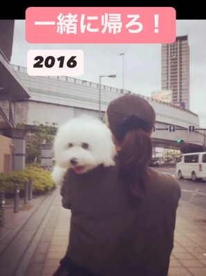 犬を抱っこして歩く女性