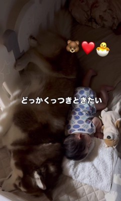 どこかくっつきたい♡