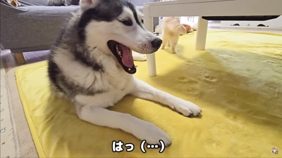 「臭すぎるんだけど…!」