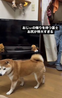 スタコラサッサとどこかへ